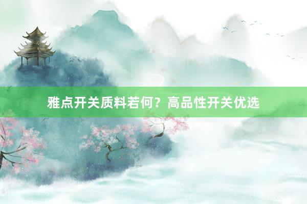 雅点开关质料若何？高品性开关优选
