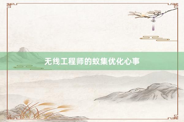 无线工程师的蚁集优化心事