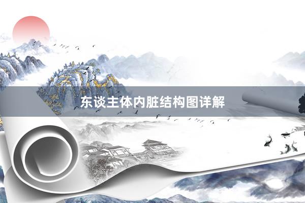 东谈主体内脏结构图详解
