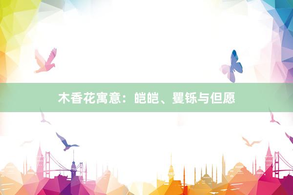 木香花寓意：皑皑、矍铄与但愿
