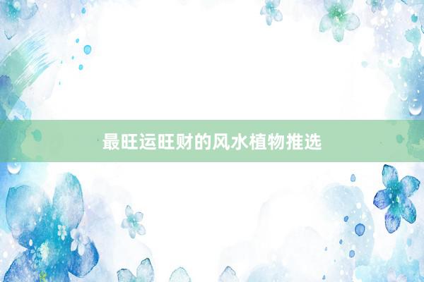 最旺运旺财的风水植物推选
